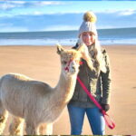 Private Alpaca Trekking Experience