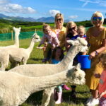Alpaca Adventure Trail Experience - 1 Guest Gift Voucher